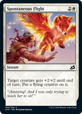 Spontaneous Flight - Foil Spontaneous Flight - Foil