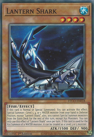 Lantern Shark - ETCO-EN018 - Common - 1st Edition