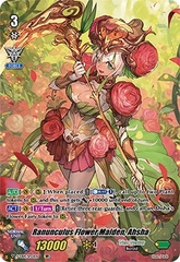 Ranunculus Flower Maiden, Ahsha - V-EB14/SP22EN - SP