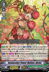 Ranunculus Flower Maiden, Ahsha - V-TD12/001EN - TD