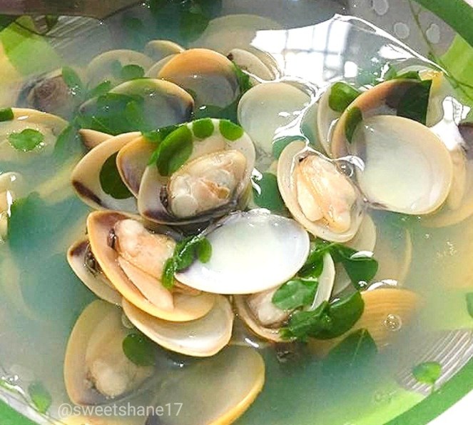 Tinolang Halaan
