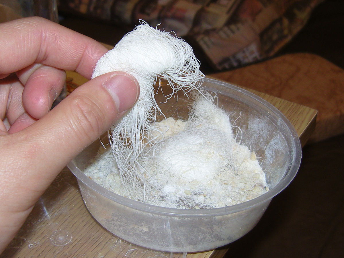 Dragon’s Beard Candy
