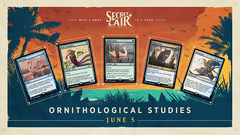 Secret Lair - Ornithological Studies