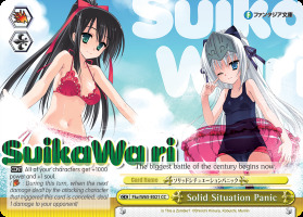 Solid Situation Panic - Fkz/W65-E021 - CC