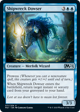 Shipwreck Dowser - Foil