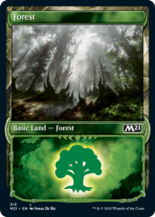 Forest (313) - Foil - Showcase