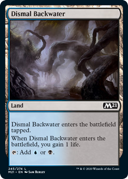 Dismal Backwater