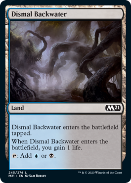 Dismal Backwater - Foil