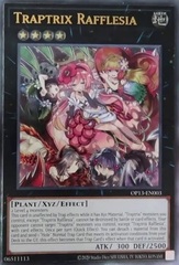 Traptrix Rafflesia - OP13-EN003 - Ultimate Rare - Unlimited Edition