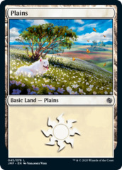 Plains (45)