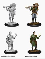 D&D Nolzur's Marvelous Miniatures: Male Half-Elf Bard