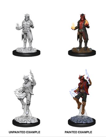 D&D Nolzurs Marvelous Miniatures: Male Tiefling Sorcerer