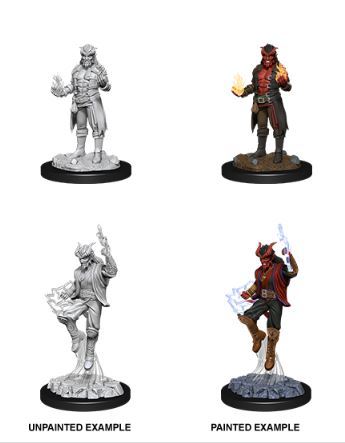 D&D Nolzurs Marvelous Miniatures: Male Tiefling Sorcerer