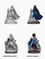 D&D Nolzur's Marvelous Miniatures: Female Tiefling Sorcerer