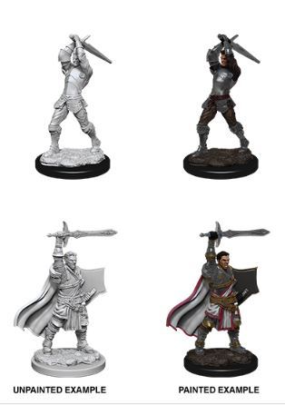 D&D Nolzurs Marvelous Miniatures: Male Human Paladin