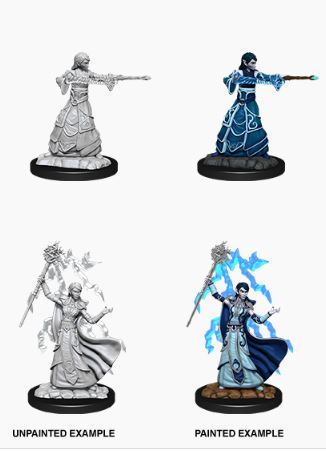 D&D Nolzurs Marvelous Miniatures W12: Female Elf Wizard