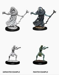 Nolzur's Marvelous Miniatures - Sea Hag & Bheur Hag