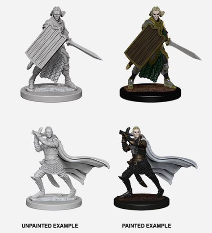 D&D Nolzurs Marvelous Miniatures: Elf Male Paladin