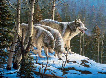 Wildlife - Perfect Piece Count.- 550 piece puzzle