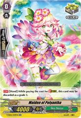 Maiden of Polyantha - V-SS05/049EN - RR