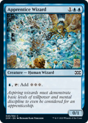 Apprentice Wizard - Foil