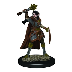 D&D Premium - Female Elf Cleric