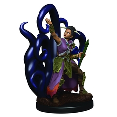 D&D Premium Painted - Human Warlock Female (W03)