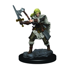 D&D Premium Painted - Human Barbarian Female