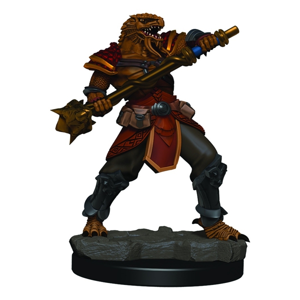 Male Dragonborn Fighter