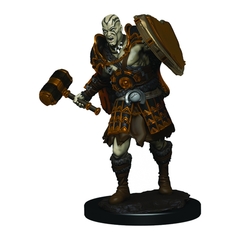 Premium - Male Goliath Fighter
