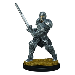 Premium - Male Human Fighter