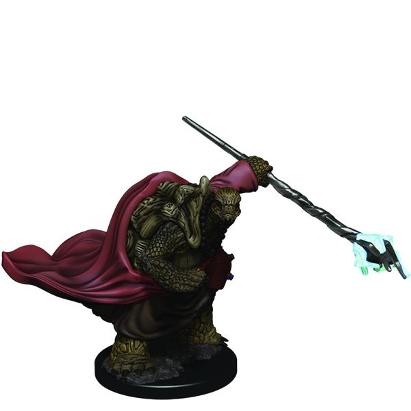 Male Tortle Monk