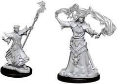 Pathfinder Battles Unpainted Minis - Male Human Sorcerer