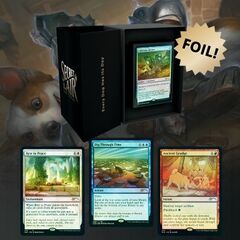 Secret Lair - Every Dog Has Its Day - Foil