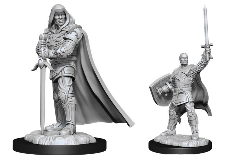 Human Paladin Male (Wave 13)
