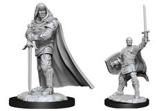 D&D Nolzur's Marvelous Miniatures: Human Paladin Male (Wave 13)