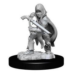 D&D Nolzur's Marvelous Miniatures: Halfling Rogue Male (Wave 13)