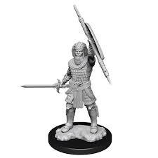 D&D Nolzurs Marvelous Miniatures: Human Fighter (Male) (W13)