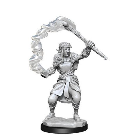 D&D Nolzurs Marvelous Miniatures: Female Firbolg Druid W13