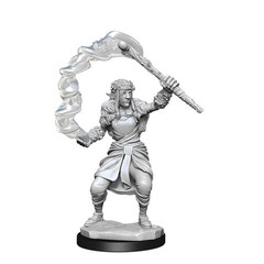 D&D Nolzur's Marvelous Miniatures: Firbolg Druid Female (Wave 13)