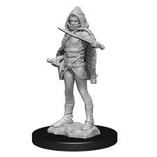 D&D Nolzur's Marvelous Miniatures: Multiclass Warlock + Sorcerer Female (Wave 13)