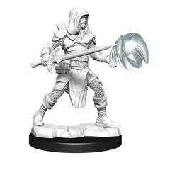 D&D Nolzurs Marvelous Miniatures: Multiclass Fighter + Wizard (Male) (W13)