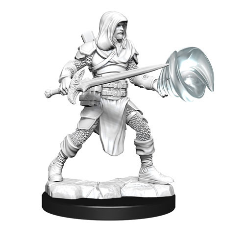 Multiclass Fighter + Wizard Male (Wave 13)