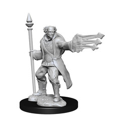 D&D Nolzur's Marvelous Miniatures: Multiclass Cleric + Wizard Male (Wave 13)