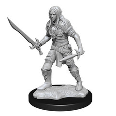 Pathfinder Deep Cuts: Elf Fighter Male