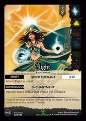 Flight
