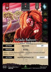 Gelada Baboon