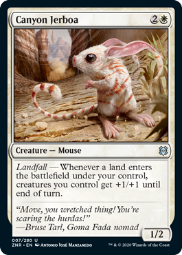 Canyon Jerboa - Foil