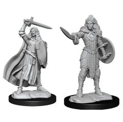 Pathfinder Battles Deep Cuts: Female Human Champion (W14)