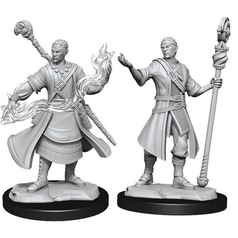 D&D Nolzurs Marvelous Miniatures: W14 Male Half-Elf Wizard